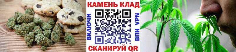 Canna-Cookies марихуана  Михайлов 