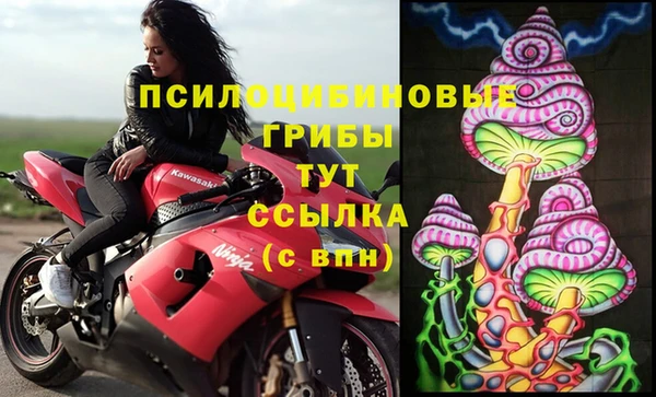 ГАЛЛЮЦИНОГЕННЫЕ ГРИБЫ Беломорск