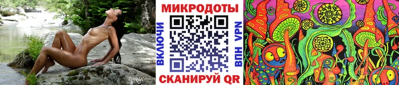 Псилоцибиновые грибы Psilocybine cubensis  Михайлов 